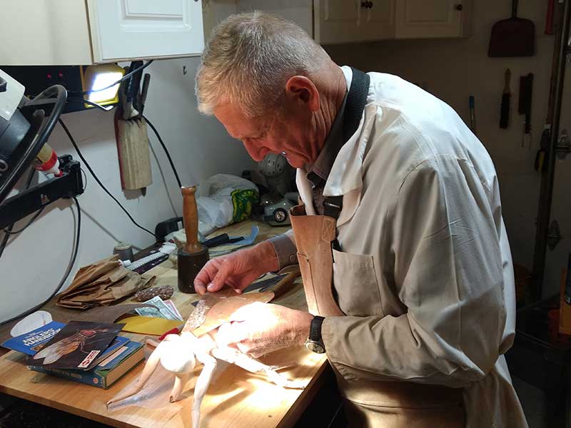 A new creation underway